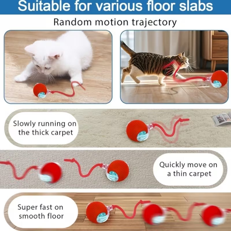 Toysgalore™ Cat teasing ball