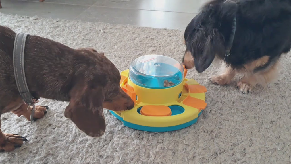 Toysgalore™ Interactive Dog Treat Dispenser