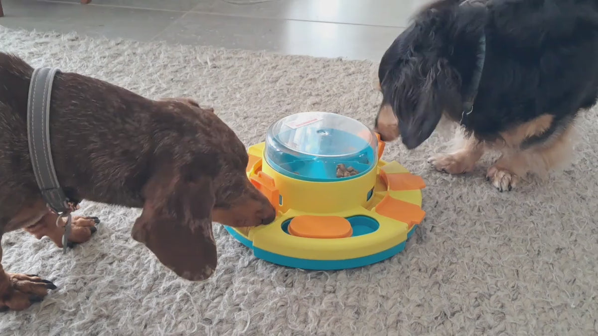 Toysgalore™ Interactive Dog Treat Dispenser