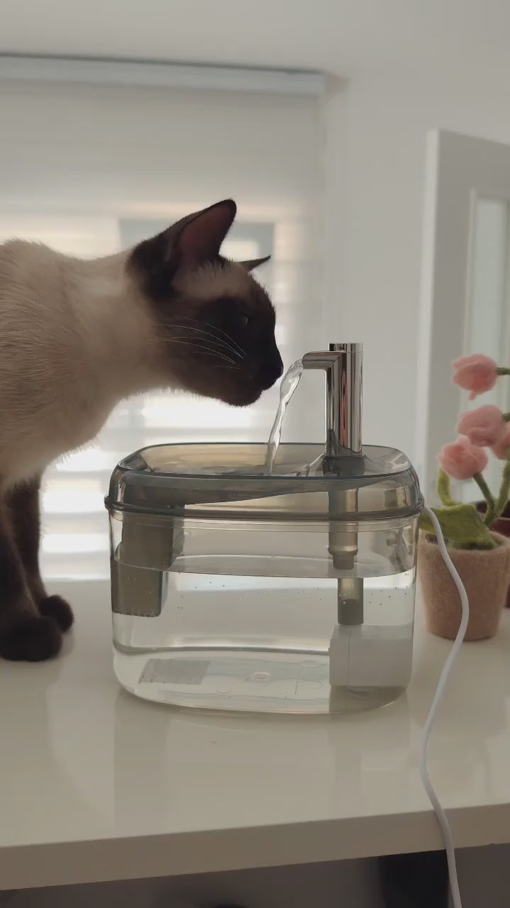 Toysgalore™ auto pet water fountain